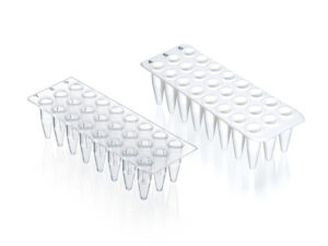 24 well qPCR plate, PP, no skirt, 40 plates