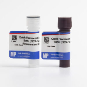 Quick Fluorescent Loading Buffer (SDS-PAGE)-3X