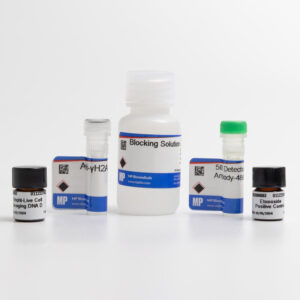 γH2AX Detection 488G Kit