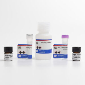 γH2AX Detection 650FR Kit