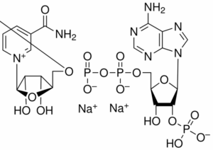 β-Nicotinamide adenine dinucleotide phosphate, disodium salt