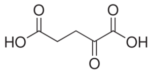 α-Ketoglutaric acid