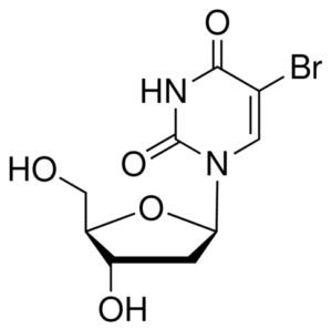 5-Bromo-2'-deoxyuridine