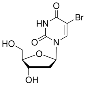 5-Bromo-2'-deoxyuridine