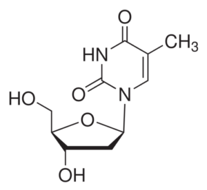 Thymidine, cell culture reagent, >99%
