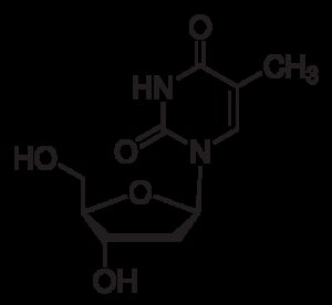 Thymidine, cell culture reagent, >99%