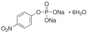 p-Nitrophenyl Phosphate Disodium Salt Hexahydrate