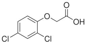 2,4-Dichlorophenoxyacetic Acid