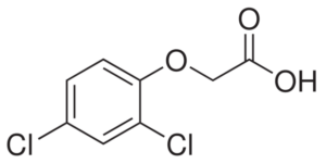 2,4-Dichlorophenoxyacetic Acid