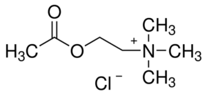 Acetylcholine Chloride