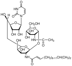 Tunicamycin
