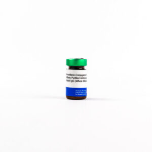 Peroxidase-Conjugated Goat Affinity Purified Antibody to Rab