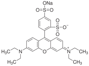 Sulforhodamine B