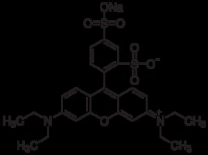 Sulforhodamine B