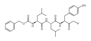 Z-Leu-Leu-Tyr-fluoromethylketone
