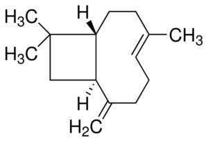 (-)-Trans-caryophyllene