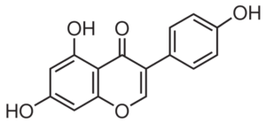 Genistein