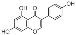 Genistein