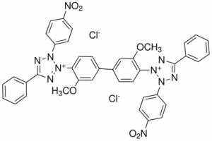 p-Nitro blue tetrazolium chloride