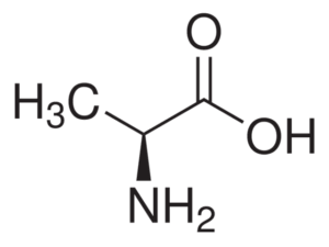 L-Alanine