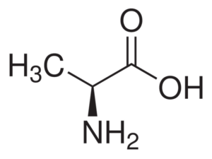 L-Alanine