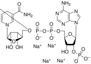 β-Nicotinamide adenine dinucleotide phosphate, tetrasodium s