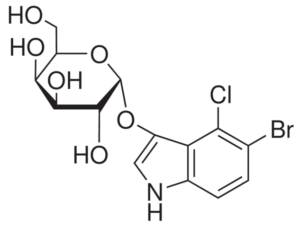 5-Bromo-4-chloro-3-indolyl-α-D-galactopyranoside