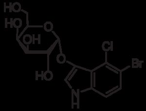 5-Bromo-4-chloro-3-indolyl-α-D-galactopyranoside