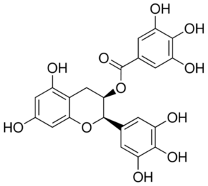 (-)-Epigallocatechin gallate
