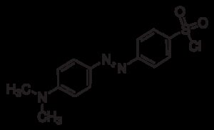 4-Dimethylaminoazobenzene-4'sulfonyl chloride