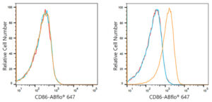 ABflo® 647 Rabbit anti-Human/Monkey CD86 mAb