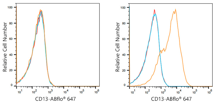 ABflo® 647 Rabbit anti-Human CD13/ANPEP mAb