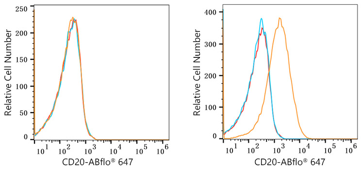 ABflo® 647 Rabbit anti-Human/Monkey CD20 mAb