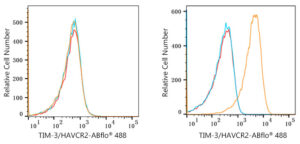 ABflo® 488 Rabbit anti-Human TIM-3/HAVCR2 mAb