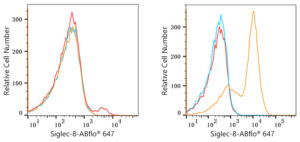 ABflo® 647 Rabbit anti-Human Siglec-8 mAb