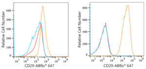 ABflo® 647 Rabbit anti-Human Integrin-β1/CD29 mAb