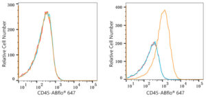 ABflo® 647 Rabbit anti-Human/Monkey CD45 mAb