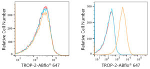 ABflo® 647 Rabbit anti-Human TROP-2 mAb