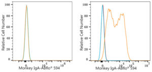 ABflo® 594 Rabbit anti-Monkey IgA mAb