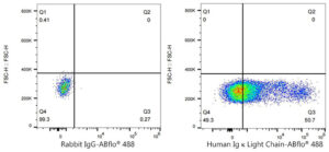 ABflo® 488 Rabbit anti-Human Ig κ Light Chain mAb