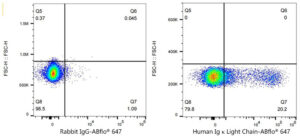 ABflo® 647 Rabbit anti-Human Ig κ Light Chain mAb