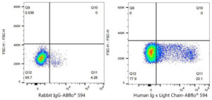 ABflo® 594 Rabbit anti-Human Ig κ Light Chain mAb