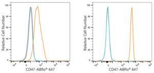 ABflo® 647 Rabbit anti-Human CD47 mAb