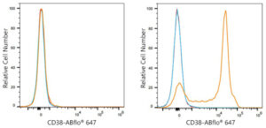 ABflo® 647 Rabbit anti-Mouse CD38 mAb