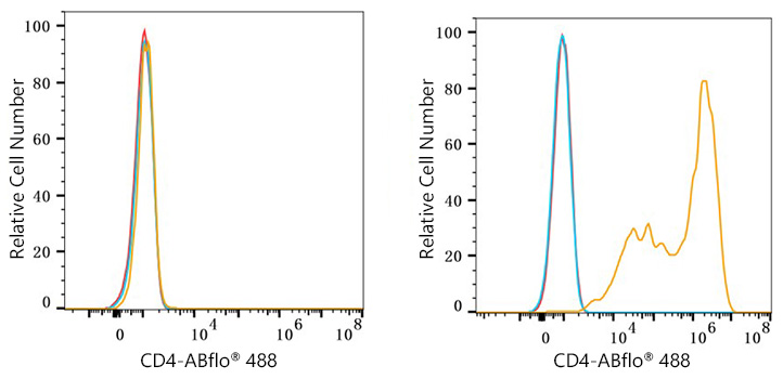 ABflo® 488 Rabbit anti-Mouse CD4 mAb