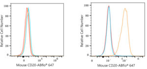 ABflo® 647-conjugated Rabbit anti-Rat IgG (H+L)