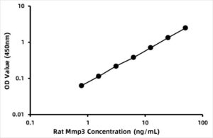 Rat Matrix Metalloproteinase 3 ELISA Kit (MMP3)