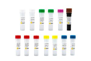 Fast RNA-seq Lib Prep Kit V2