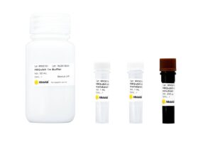 ABQubit dsDNA HS Assay Kit