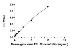 Rabbit anti-Monkeypox virus E8L mAb (DET)